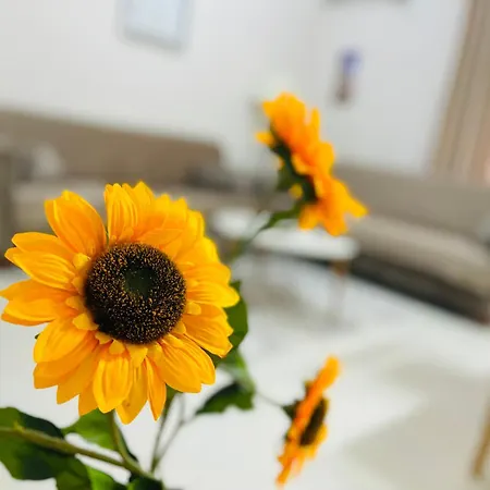 Apartment Albis 1 *